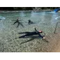 SSI Pool Freediver cours