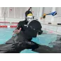 SSI Freediver Course