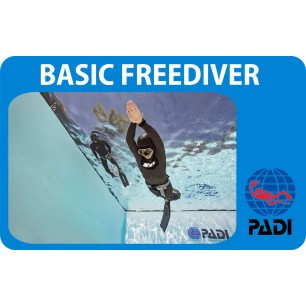 PADI Basic Freediver cours