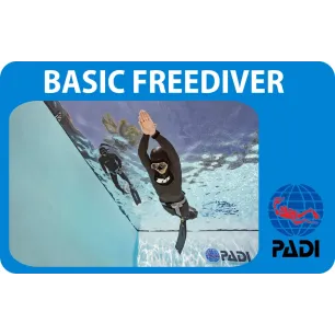 PADI Basic Freediver cours