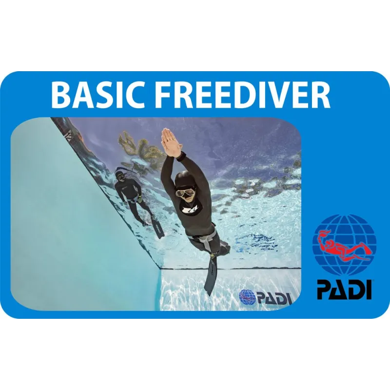 PADI Basic Freediver corso