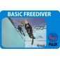 PADI Basic Freediver course