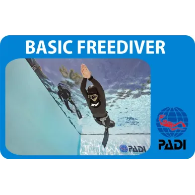 PADI Basic Freediver corso