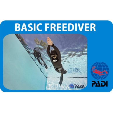 PADI Basic Freediver course