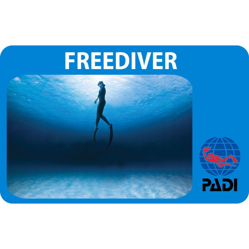 PADI Freediver cours