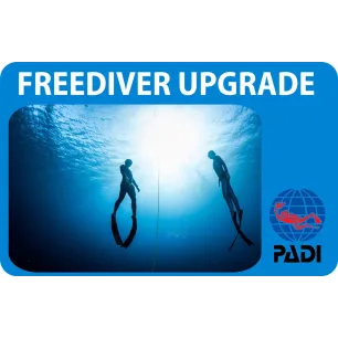 PADI Freediver Upgrade cours