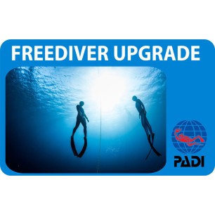 PADI Freediver Upgrade Course