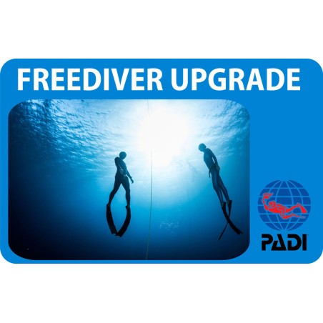 PADI Freediver Upgrade corso