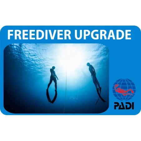 PADI Freediver Upgrade Kurs