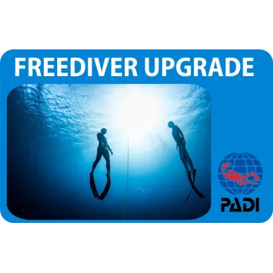 PADI Freediver Upgrade Course