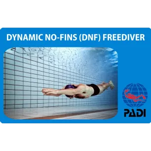 PADI Dynamic No-Fins (DNF) Freediver specialty course