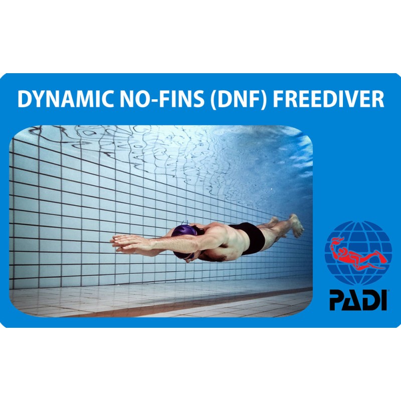 PADI Dynamic No-Fins (DNF) Freediver Specialty Kurs