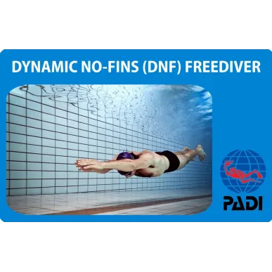 PADI Dynamic No-Fins (DNF) Freediver specialty course