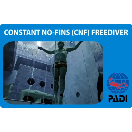 PADI Constant No-Fins (CNF) Freediver specialty course