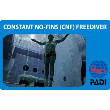 PADI Constant No-Fins (CNF) Freediver corso di spezializzazione