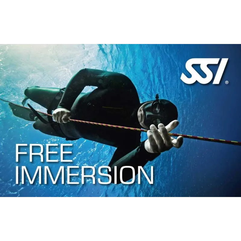 SSI Free Immersion cours