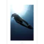 Book Freediving by Simo Kurra, Kimmo Lahtinen, and Ari Nissinen