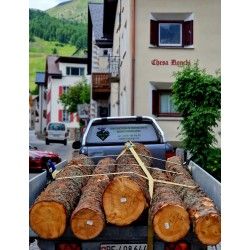 WED – EQ Trainer aus naturbelassenem Holz