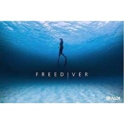 PADI Freediver Upgrade (da PADI Basic Freediver)