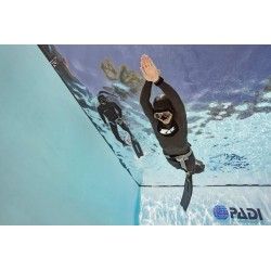 PADI Basic Freediver Kurs