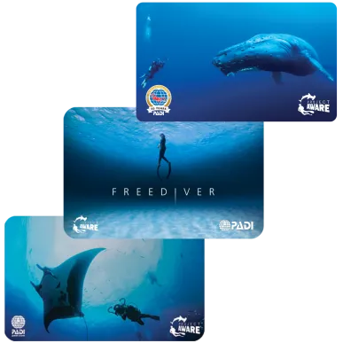 PADI replacement card