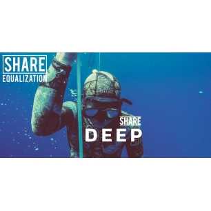 Share Equalization DEEP DIY Kurs (Englisch)