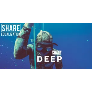 Share Equalization DEEP corso fai da te (in inglese)