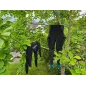 In d Wet WettieClean detergente per neoprene