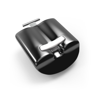 Lobster Weight Segment