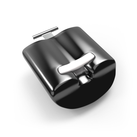 Lobster Weight Segment