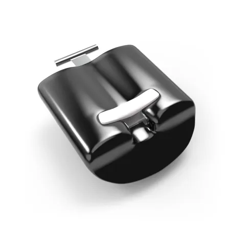 Lobster Weight Segment