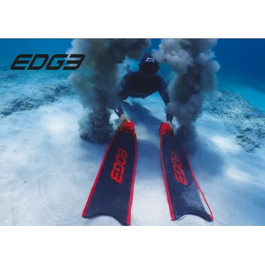 CETMA Edge palmes carbone